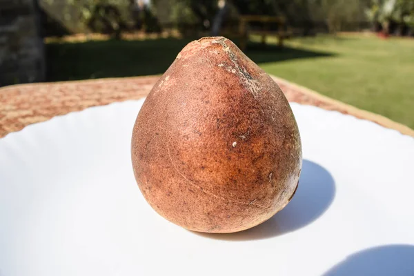 Ινδικό Μήλο Πέτρα Ξύλο Μήλο Επίσης Γνωστή Φρούτα Bael — Φωτογραφία Αρχείου