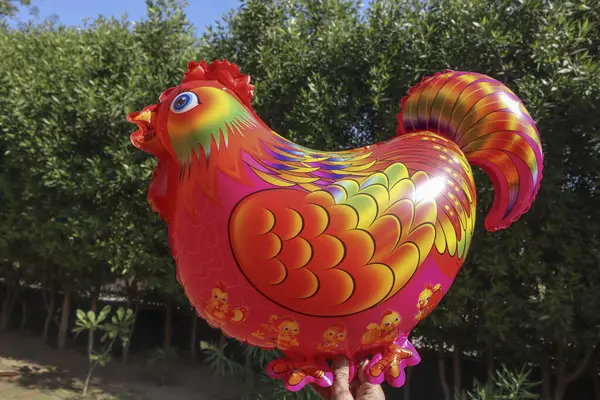 Helium foil balloon in shape of a Hen. Bird theme animal party decoration item. Inflated gas balloons