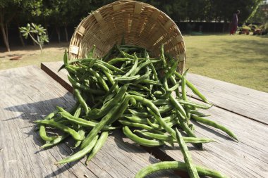 Rangoli, Diwali ve tüm Hint festivalleri için tasarım yapıyor. Güzel Rangoli geçmişleri var. Kırmızı çiçek Rangolis
