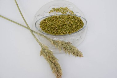 Gujarat 'ın özel yemeği yeşil narin darı taneleri. Ponk abur cubur olarak yenir. Ponkh kavrulmuş taze mısır taneleri.