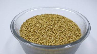 Beyaz zemin üzerinde şeffaf kâse içinde sarı hardal tohumları.