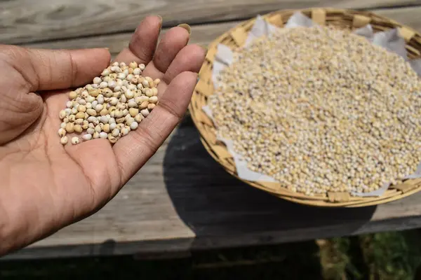 stock image Yellow mustard seeds in transparent bowl on white background.