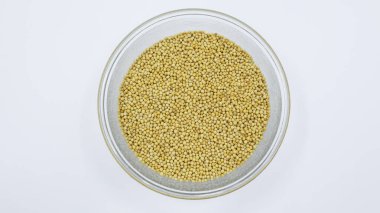 Top view of Yellow mustard seeds in transparent bowl on white background. clipart