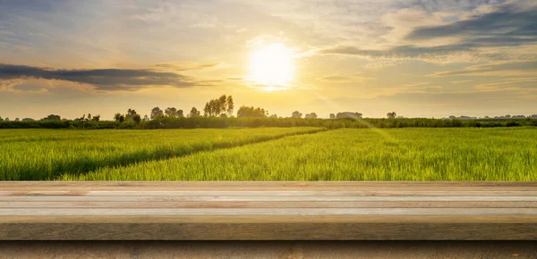 Wood Table Rice Field Sunrise Blue Sky Lens Flare Display — Stock Photo, Image