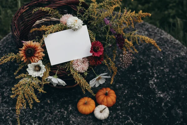Podzimní Sklizeň Prázdné Uvítací Pohlednice Proutěný Koš Barevným Zinkem Velikonoční — Stock fotografie