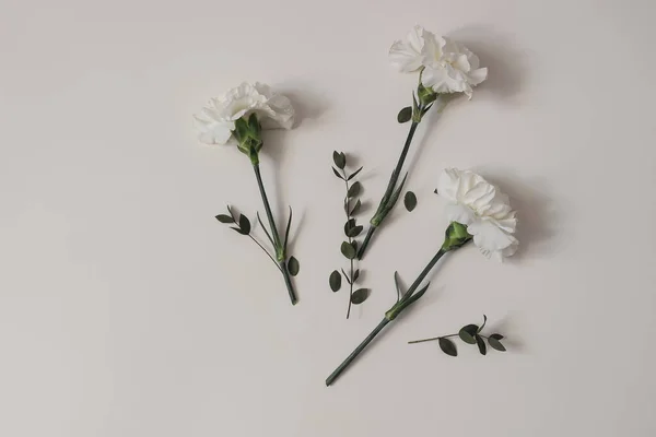 Floral composition. Wedding or birthday neutral still life with white carnation flowers and green eucalyptus branches. Beige table background. Flat lay, top view from above, minimal design, no people.