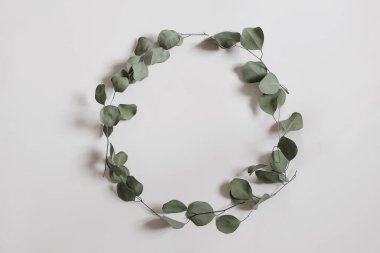 Kuru okaliptüs yaprağı ve dallardan yapılmış yeşil çiçek çerçevesi. Dekoratif çelenk beyaz masa arkasında izole edilmiş. Minimum doğal bileşim. Düz yerde, üst tarafta. İnsan yok, zarif web afişi
