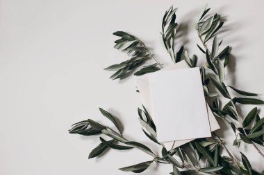 Mediterranean stationery still life scene. Green olive tree branch and leaves, isolated blank greeting card mockup, beige table background. Branding concept. Moody summer floral design, latlay, top.