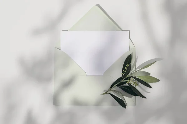 Spring, summer wedding, birthday stationery. Closeup of empty greeting card, invitation mockup with mint green envelope and olive tree branch. White table in sunlight. Shadow overlay, flat lay, top.