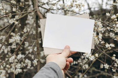 Kadınların el ele tutuşması boş selamlaşma, davetiye. Beyaz çiçek açan erik ağaçları, bahçede çiçekler, meyve bahçesi. Bahar düğün kırtasiyesi modeli. Doğum günü kutlaması, çiçekli bulanık arkaplan.