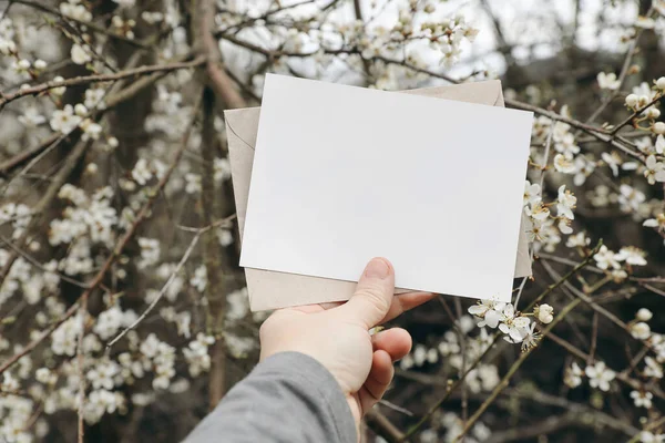 Nők Kezében Üres Üdvözlőlap Meghívó Fehér Cseresznyefák Virágok Kertben Gyümölcsöskert — Stock Fotó