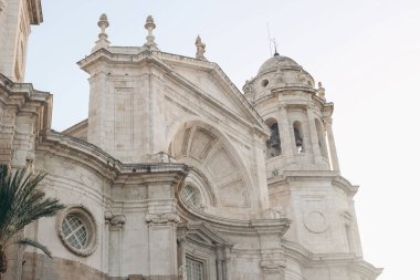 Santa Cruz 'daki eski güzel Cadiz Katedrali. Dış görünüş. Yumuşak yaz günbatımında palmiye ağacı. Avrupa 'yı, Endülüs' ü, İspanya 'yı dolaş. Tarihi kubbe binası, dönüm noktası. Turistik bir yer. Gezmeye.