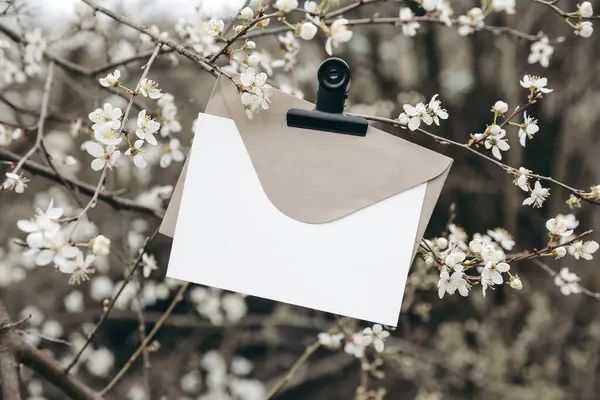 Spring wedding stationery mockup. Blank greeting, birthday invitation card, craft envelope with black metal bulldog clip. White blooming cherry plum trees in garden, orchard, floral blurred background