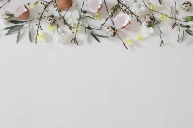 Yay çerçeve, pankart. Paskalya çiçekli kompozisyon. Sarı çuha çiçeği, beyaz karanfil çiçeği. Huş ağacı, zeytin dalı, dal. Bıldırcın, tavuk yumurtası kabukları beyaz masa arkasında izole, düz, üst