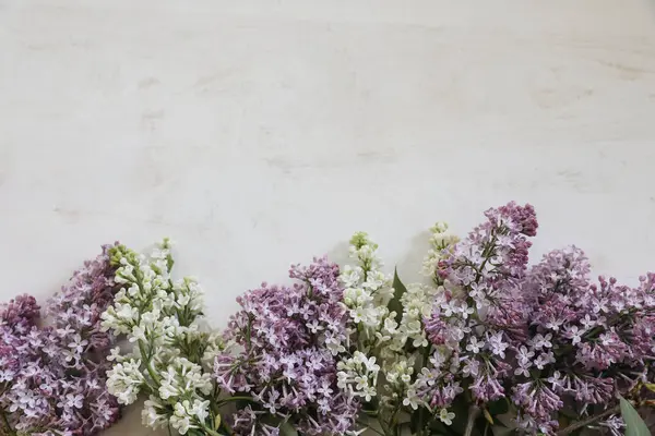 紫と白のライラックの花 シリンガバルガリスのブルーミングツリーの枝は ぼやけた白いシャビーの木の表面に 古いテーブルの背景 フローラルフレーム バナー スプリングフラットレイ トップビュー スタジオショット — ストック写真