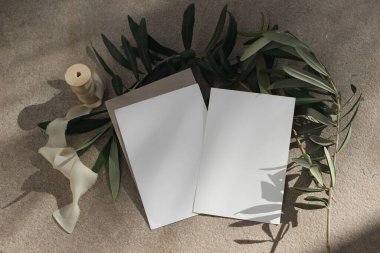 Akdeniz yaz düğün kırtasiyesi. Doğum günü maketleri. Boş tebrik kartları, zarf. Grunge kireç taşı zemin zemin. İpek kurdele. Güneş ışığında zeytin dalları, düzlük, üst