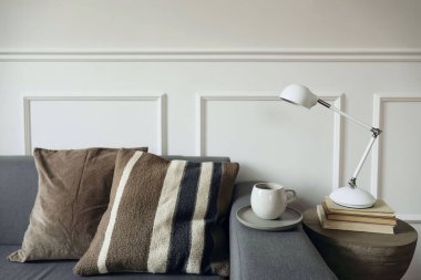 Sıcak İskandinav oturma odası. Kahverengi çizgili yastıklı gri kanepe. Boho ahşap sehpa, eski kitaplar ve beyaz modern lamba. Bir fincan çay, kahve, zarif nötr ev dekorasyonu..