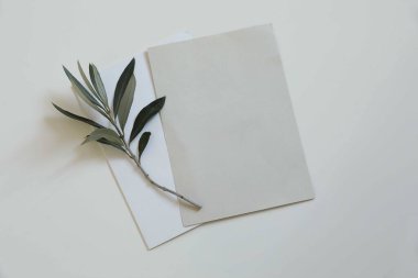 Yaz düğün kırtasiyesi modeli düzenlemesi. Boş dikey beyaz ve kağıt bej tebrik kartları. Masa arkasına yerleştirilmiş zeytin dalı, kadınsı Akdeniz yaz düzlüğü, üst görünüm