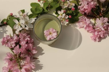 Bej masa arkasında güneş ışığında bir bardak yeşil kibrit çayı. Çiçek dekoru. Çiçekli elma, Japon kiraz ağacı güneş ışığında sakura dalları. Sağlıklı bir yaşam tarzı. Uzayı kopyala Düz yatıyordu. Üst görünüm.