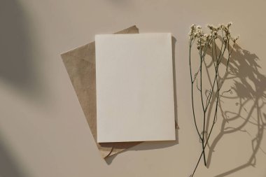Minimalist boş tebrik kartı modeli, tarafsız bir masa arkasında kağıt zarf. Narin kurutulmuş limonyum çiçekleri. Ilık güneş ışığında yumuşak doğal gölgeler, düz uzanma, üst manzara.