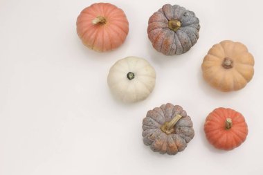 Autumn still life, seasonal decoration. Assorted pumpkins vegetable in various colors. Orange, white, black squash isolated on white table background. Thanksgiving Halloween holiday, flat lay, top view