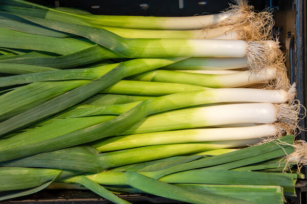 Свежие лук-порей на рынке. Лук как фон, свежие овощи