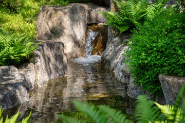 Yazın Japon bahçesinde şelale.