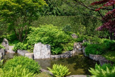 Yazın Japon bahçesinde şelale.