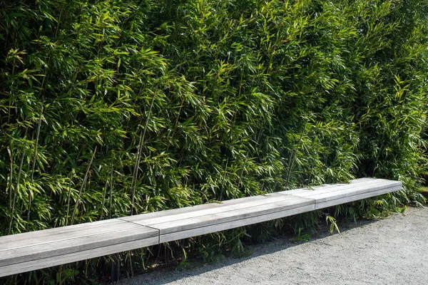 Lavička Bambusem Veřejné Zahradě Krásný Přírodní Park Létě Jednoduchá Dřevěná Stock Obrázky