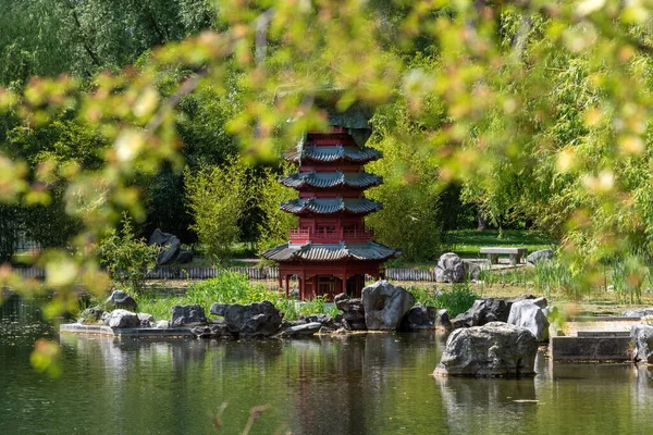 Japansk Trädgård Med Pagoda Och Damm Sommaren Stockfoto