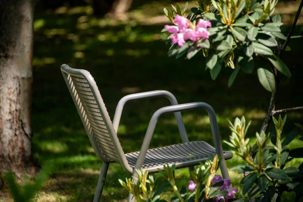 春天花园的金属椅子 供野餐和观鸟用的金属花园家具 图库图片