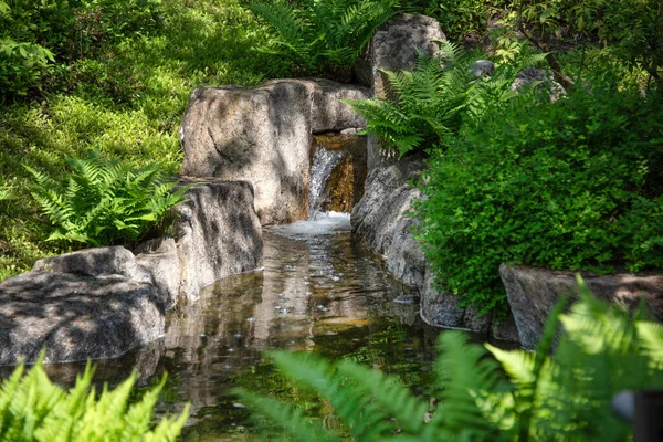 Vattenfall Japansk Trädgård Sommaren Stockbild