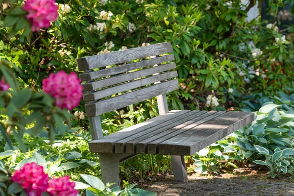 在公共花园种花的长椅 美丽的自然公园 夏天长满了盛开的灌木 阳光普照的室外公园里的简易木制长椅 免版税图库图片
