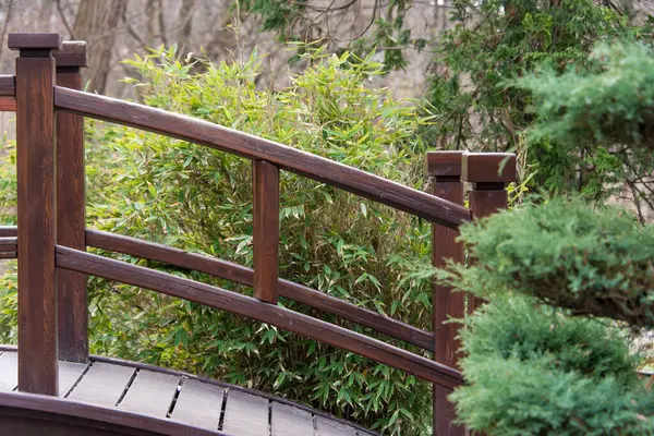 Japon tarzı bir bahçede sakin bir sahne, ahşap bir köprü, doğal bir arka planda sanatsal olarak budanmış çalılar. Huzurlu ortam uyum ve tasarımı doğal bir ortamda sergiliyor.