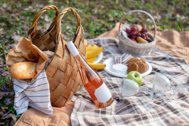 Dokuma sepetleri, taze meyveler, ekmek, şarap ve battaniyelerin olduğu davetkar bir piknik seti. Doğada sakin bir günün tadını çıkaran arkadaşlar, aileler ve çiftler için mükemmel bir ortam.