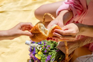 Rahat bir piknik ortamında iki kişi bir parça ekmeği paylaşıyor. Bu bir birliktelik, topluluk ve basit zevkleri yakalar. Boş zaman, bağlantı, ya da hayatın anlarının kutlaması