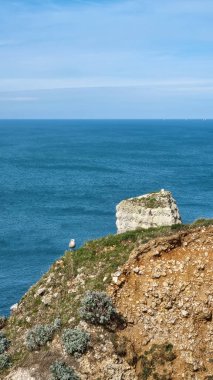Beach walk on the beautiful alabaster coast near tretat - Normandy - France