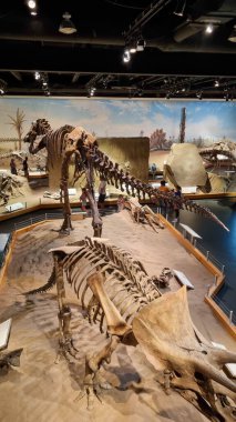 Alberta, Kanada - 06 Ağustos 2024: Alberta Kanada 'daki Drumheller Müzesi