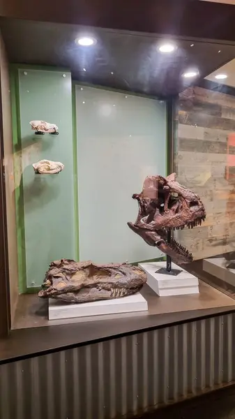 Alberta, Kanada - 06 Ağustos 2024: Alberta Kanada 'daki Drumheller Müzesi