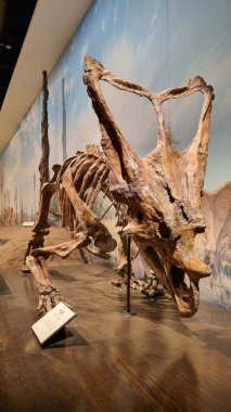 Alberta, Kanada - 06 Ağustos 2024: Alberta Kanada 'daki Drumheller Müzesi