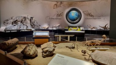 Alberta, Kanada - 06 Ağustos 2024: Alberta Kanada 'daki Drumheller Müzesi