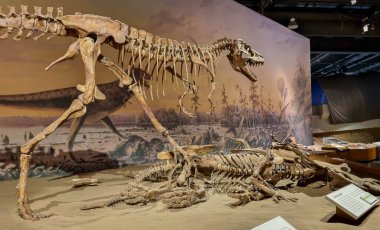 Alberta, Kanada - 06 Ağustos 2024: Alberta Kanada 'daki Drumheller Müzesi