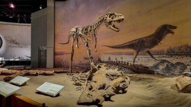 Alberta, Kanada - 06 Ağustos 2024: Alberta Kanada 'daki Drumheller Müzesi