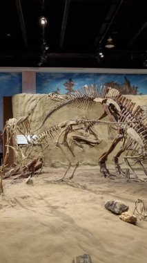 Alberta, Kanada - 06 Ağustos 2024: Alberta Kanada 'daki Drumheller Müzesi