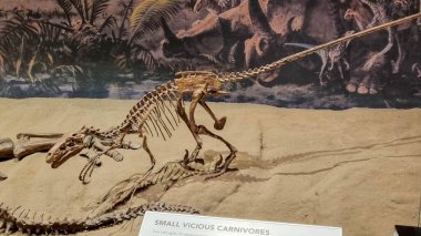 Alberta, Kanada - 06 Ağustos 2024: Alberta Kanada 'daki Drumheller Müzesi