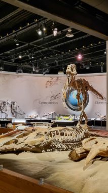 Alberta, Kanada - 06 Ağustos 2024: Alberta Kanada 'daki Drumheller Müzesi