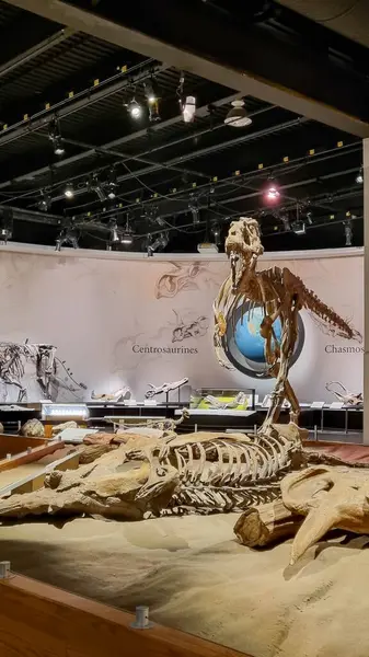 Alberta, Kanada - 06 Ağustos 2024: Alberta Kanada 'daki Drumheller Müzesi