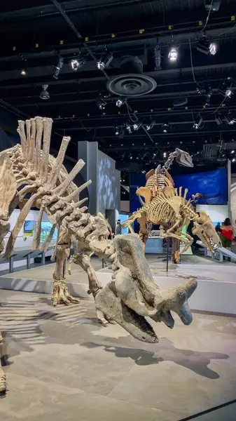 Alberta, Kanada - 06 Ağustos 2024: Alberta Kanada 'daki Drumheller Müzesi