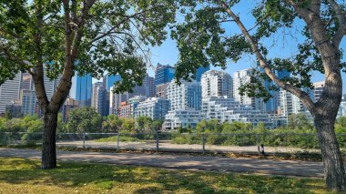 Calgary 'nin güneşli bir günde panoramik manzarası, Kanada