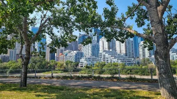 Calgary 'nin güneşli bir günde panoramik manzarası, Kanada